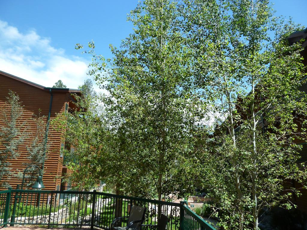 Ruidoso River Resort Condos מראה חיצוני תמונה